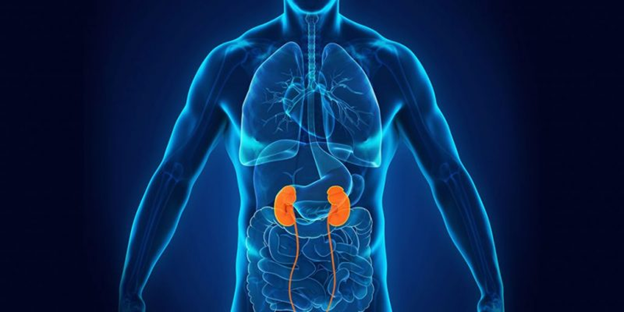 dai thao duong gay suy than